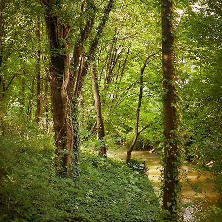 Gaestehaus Englischer Garten München