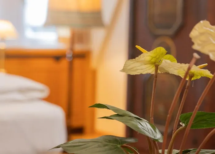 Отель Gaestehaus Englischer Garten