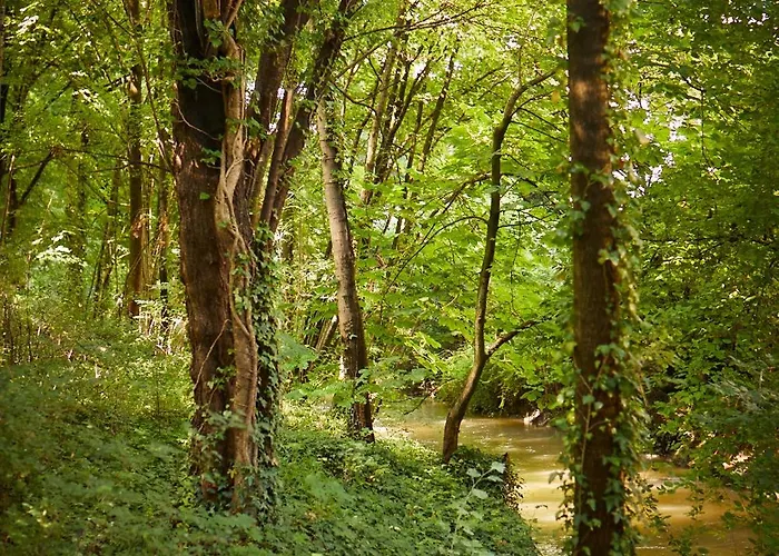 Gaestehaus Englischer Garten Мюнхен